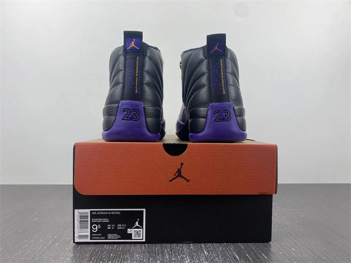 Affordable Jordan 12 Retro Field Purple CT8013- 4131