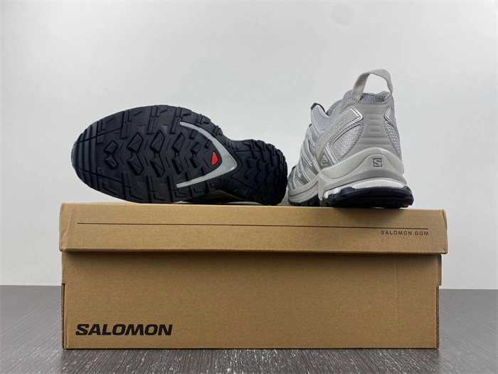 DailyWear Salomon XT-6 5963